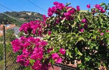 Appartamento Azzurro Mare - Foto 47