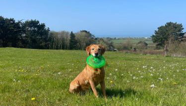 Lovely 3 Bedroom Holiday Cottage nr Bude - Foto 2
