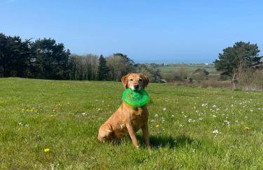 Lovely 3 Bedroom Holiday Cottage nr Bude - Foto 2