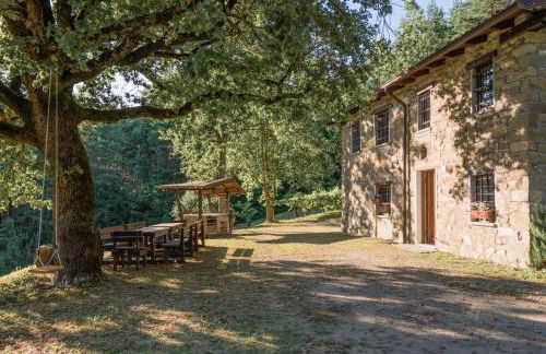 Abissinia, Gioiello nel Bosco - Foto 1