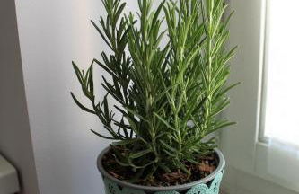 Squisito appartamento in stabile Vecchia Milano - Photo 12