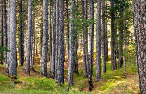 Le Tre Ninfe - Centro storico Riposto - Foto 50