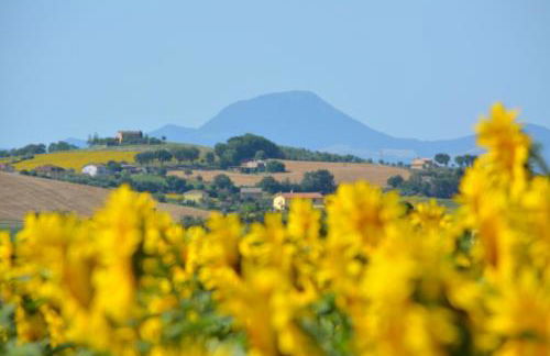 Casale dei Cinque Colli - Foto 37