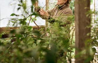 Boutique Hotel Poggio ai Santi - Adults Only - Foto 25