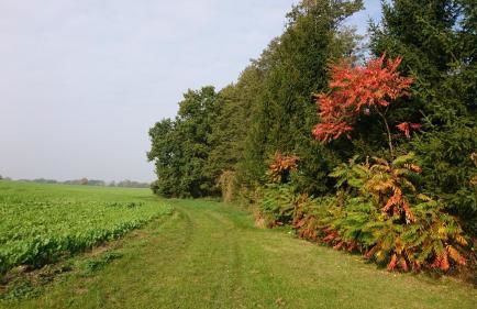 Kulturfreizeiten Ferienwohnungen - Photo 49