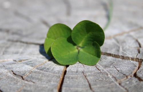 Agriturismo Ravaglia Grande - Photo 56