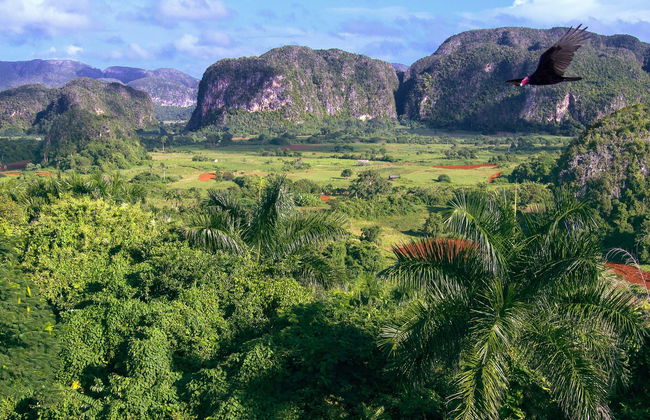 Tour a cavalo pelo Valle del Silencio - Foto 6