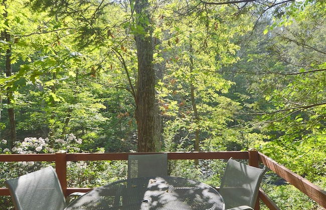 Rosies Creekside Retreat - 3 BR Escape! - Foto 54