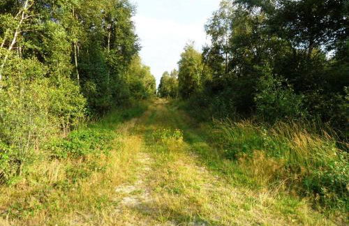 Ferienwohnung Uchte - Photo 58