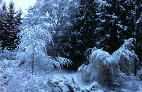 The Cozy Cottage - Foto 31