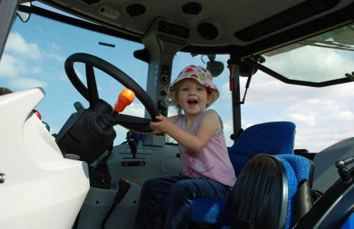 Landkulturhof Glücksbringer - Foto 27