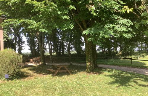 Gîte Maez 4 pers 29450 sizun - Foto 20