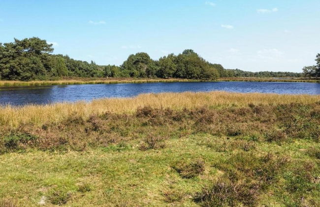 Cottage in Dwingelderveld With Scenic Views - Foto 40