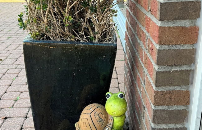 Modern House Gehrden 2 - Foto 59