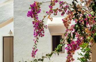 Villa Salada - Sea Views - Foto 36