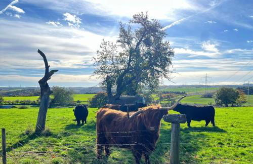 Mosel Quartier 32 - Foto 15