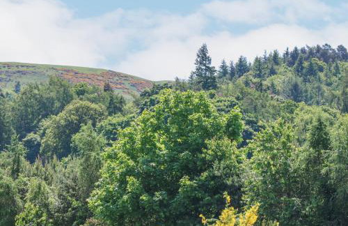 Maryland Cottage - Foto 35