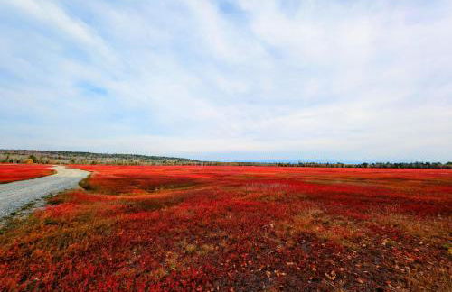 Acadia Sunset Fishing Cabin #4 family beach firepit - Foto 22