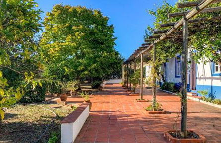 Quinta do Céu Tranquilidade e Piscina no Alentejo - Foto 35