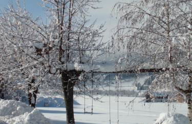 Faltnerhof - Foto 53