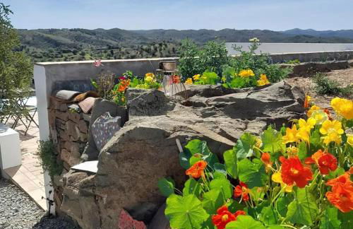 Natur Amêndoa - Foto 62