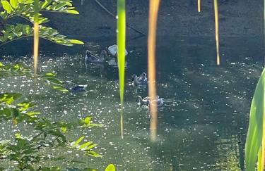 Villa Venti - Craft Wine & Hospitality - Foto 63