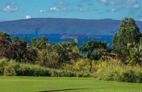 Upscale Wailea! 2-2 with Ocean View - Foto 37