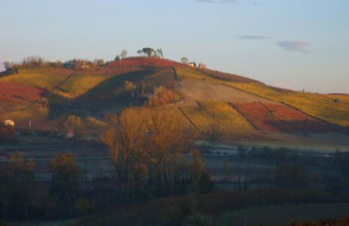 Cascina Longoria - Foto 43