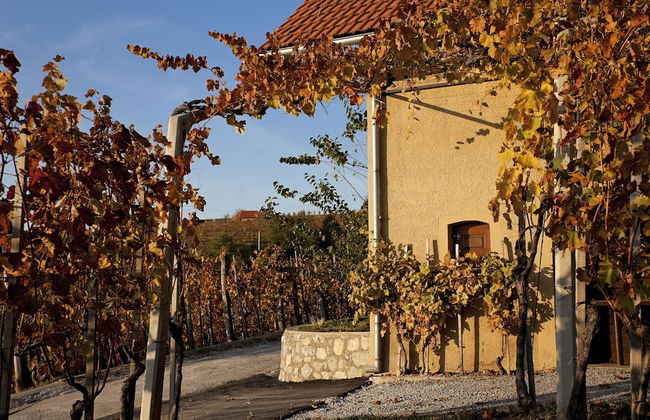 Vineyard Cottage Brodaric - Foto 19
