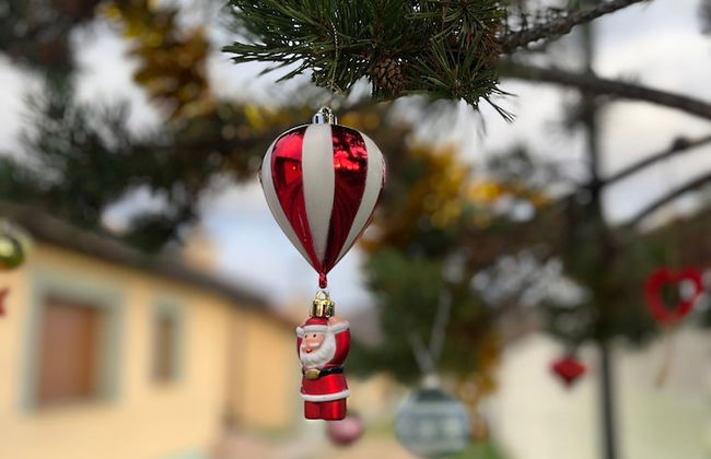 Casas rurales 4 valles - Foto 64