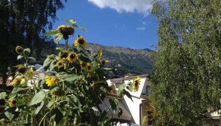 Casa Betulla - Foto 1