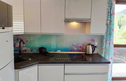 Blu Raj - domy w Sudetach - Foto 57