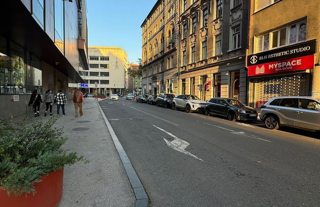 Central Apartments Sarajevo - Foto 72