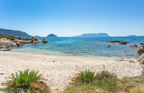 Golfo Aranci - Cala Delfino - Foto 19