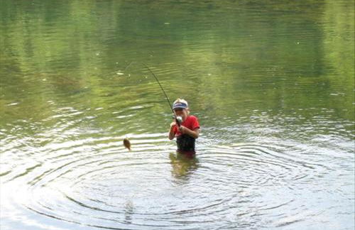 Inviting Cottage Rental on a Private Farm in Rileyville, Virginia - Photo 17