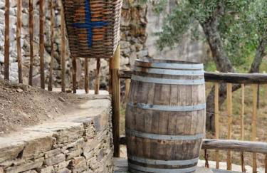 maison du olival - Photo 52