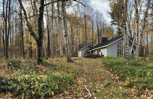 Classic VT Aframe - Minutes to Mountains - Foto 19