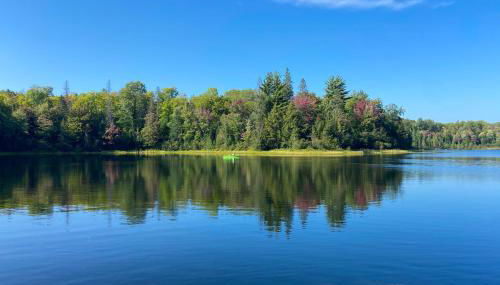 Woodland Wonderland - Foto 5