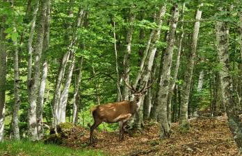 I Rifugi D'Abruzzo Una Valle di Luce - Foto 70