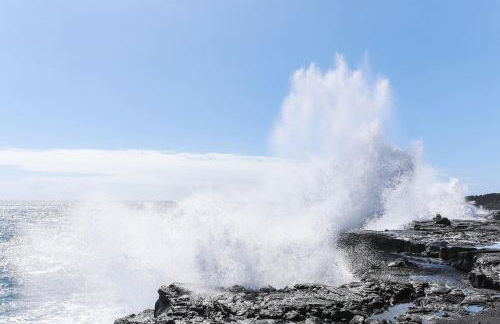 Mala o Kilauea Nature Retreat - Foto 48