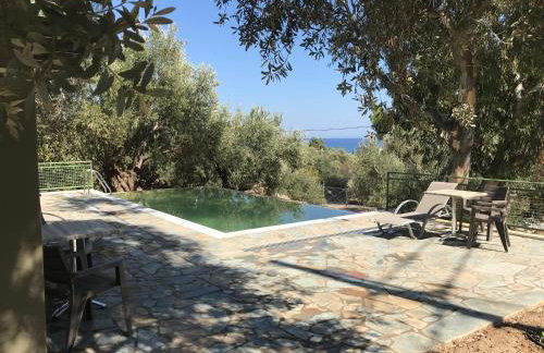 Ouzo Traditional House with private pool - Foto 12