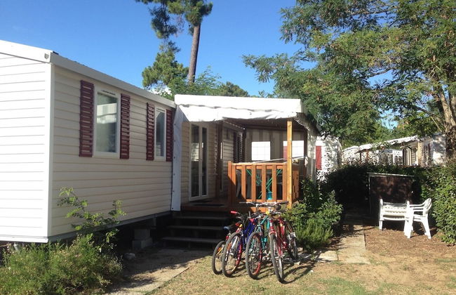 Plaisirs Nature à La Pignade - Foto 36