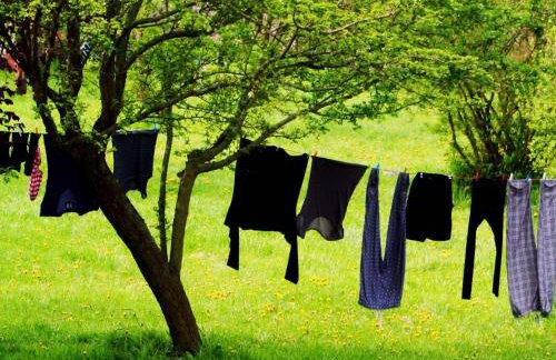 Forsthof Niendorf - Foto 31