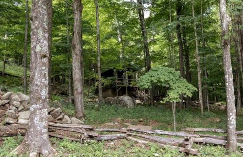Treehouse Cabin in Riverton, WV - Foto 16