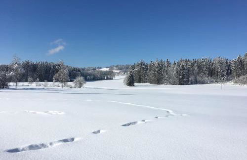 Fritzis Alpenidyll „Sommertraum & Winterromantik” - Foto 13