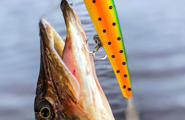 6 Person Holiday Home in Grangesberg - Photo 20