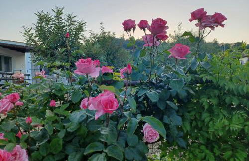 Casa Museddu - Foto 25