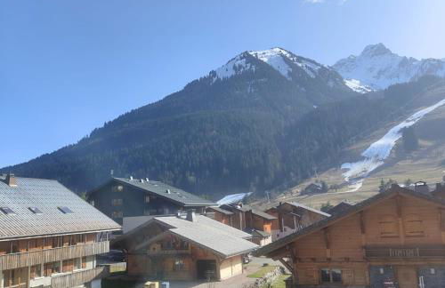 Chalet l Abondance - Photo 19