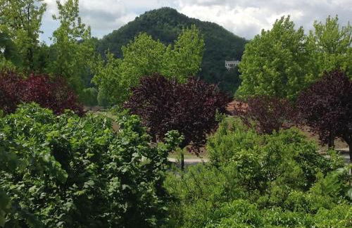 Casetta di campagna - Foto 26