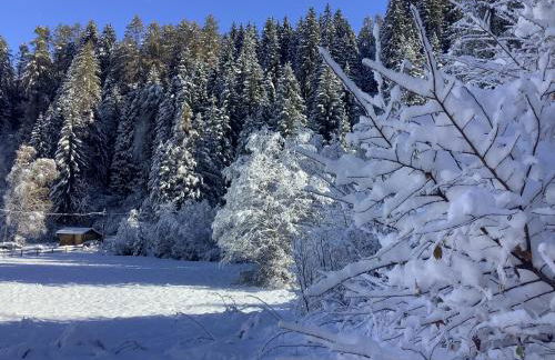 Maison Eglantine - Foto 59